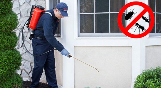 Elbeyli Bit İlaçlama böcek ilaçlama ve haşere kontrolü — ilaclama-tr.com
